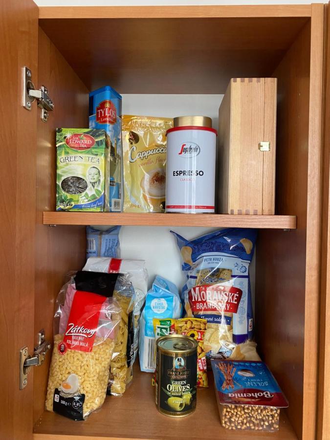 יאבלונק נאד ניסו Apartman V Lesni מראה חיצוני תמונה